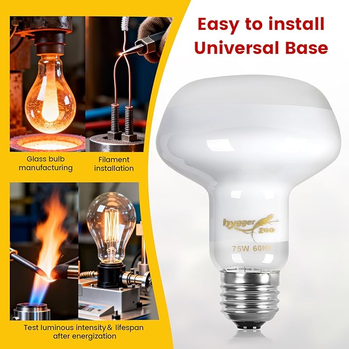 100W Reptile Heat Lamp Bulbs 2-Pack — UVA Daylight & Infrared Night Combo, Efficient Basking Light for Bearded Dragon, Lizard, Turtle, Chicken, E26 Base