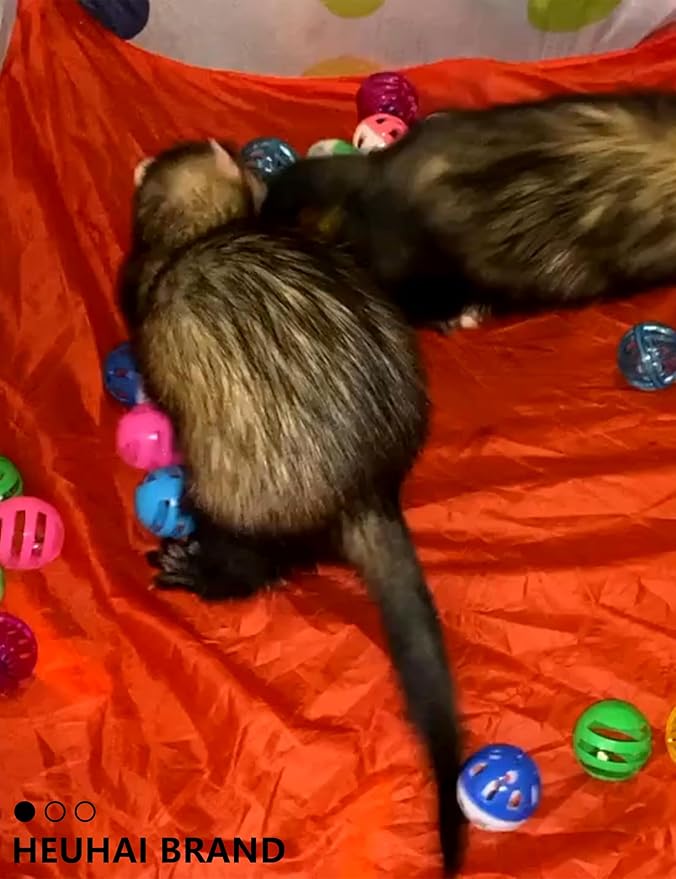 10-Pack Resilient Ferret Toys, Colorful Teething Balls, Bells, Interactive Stimulation, Easy-Clean for Oral Health (1.5'' - 2.7'', Ferret Toys Mega Set)
