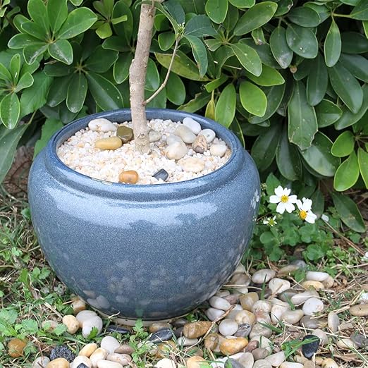 12lb Coarse Sand Stone, Silica Sand for Plant, Soil Cover Succulent and Cactus Bonsai Horticultural Sand, Natural Decorative Sand for Vases Fillers.