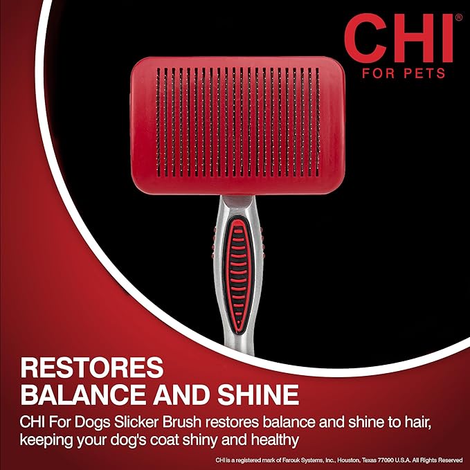 CHI for Dogs Self-Cleaning Pivoting Slicker Brush - High-End Dog Grooming Brush for Small Breeds - Detangling and Deshedding Tool for Coats - Size Small for Everyday Use