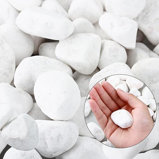11Lbs Natural River Rocks for Plants 1''-2'' Large Landscaping Garden Stones White Aquarium Gravel for Decorative Pebbles for Indoor Outdoor Planters, Big Terrarium Rocks in Bulk, Home Decor