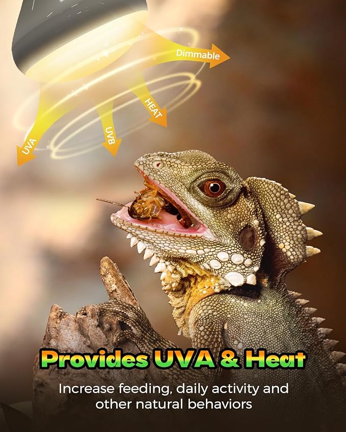 100W Reptile Heat Lamp Bulb, 2 Pack Day & Night Basking Spot Light Combo Pack Includes Infrared Heat Lamp and UVA Daylight Heating Lamp Basking Light