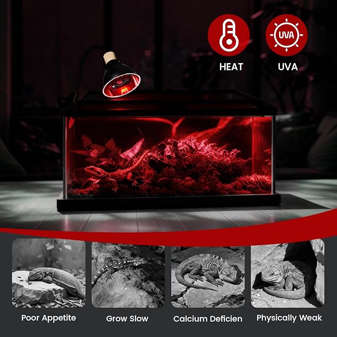100W Infrared Heat Lamp Bulbs – 2-Pack Red IR Basking Light for Reptile & Amphibian, Silent Night-Time Heating, E26 Base, Bearded Dragon,Lizard,Turtle,Chicken