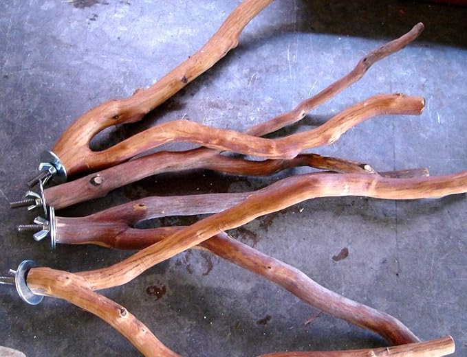 12" Manzanita Forked Perches Set of 4