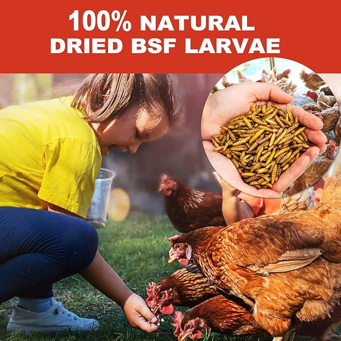 10LB Dried Black Solider Fly Larvae, BSFL is High Protein Chicken Feed with 85x More Calcium Than Dried Mealworms, Poultry Treats, Chickens Love, Birds Love, Hens Love, Ducks Love