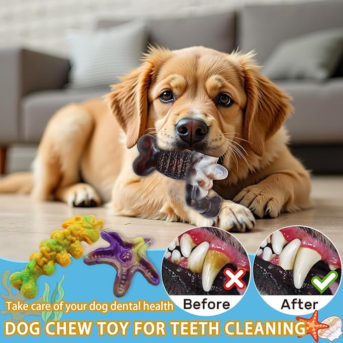 Magicorange Dog Chew Toys for Aggressive Chewers,3 Pack Tough Dog Bone Toys to Keep Them Busy, Indestructible Pet Toy for Medium/Large Breed