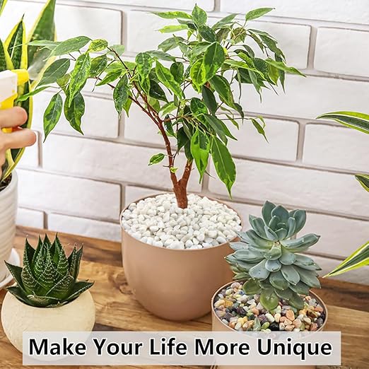 10LB Succulent and Cactus Colorful Pebbles, 3/8 Inch Natural Decorative Polished Stones, River Rocks for Indoor Plants, Vases, Planters and Outdoor Gardening