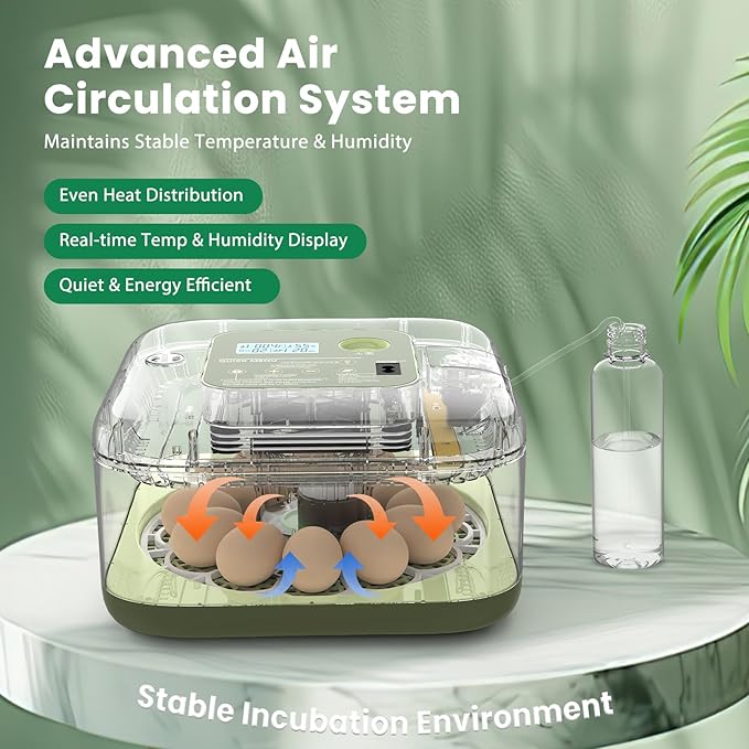 12 Egg Incubator with Humidity Display & Built-in Candler, Automatic Turner, Temp & Humidity Control, Auto Water Refill – Digital Hatcher for Chicken, Duck, Quail, Parrot (Green, 12 Egg)