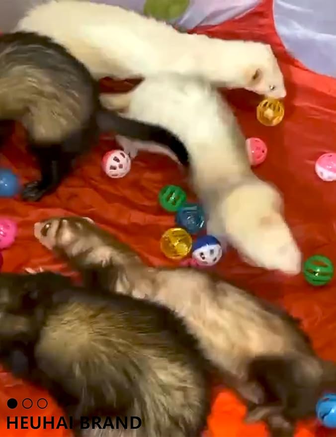 10-Pack Resilient Ferret Toys, Colorful Teething Balls, Bells, Interactive Stimulation, Easy-Clean for Oral Health (1.5'' - 2.7'', Ferret Toys Mega Set)