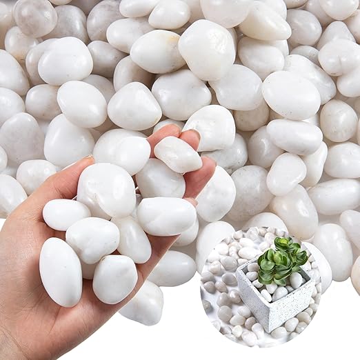10LB White River Rock- High Polished Pebbles for Indoor Plants- Decorative Stones for Aquarium Fish Tank - White Rocks for Outdoor Garden Landscaping - 0.3"-0.8"