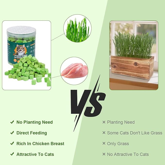 100g Freeze-Dried Cat Grass Treats, Natural Hairball Treatment for Cats, Edible Cats Chew Toy Cat Treats Snack for Teething Cleaning Hairball Removal
