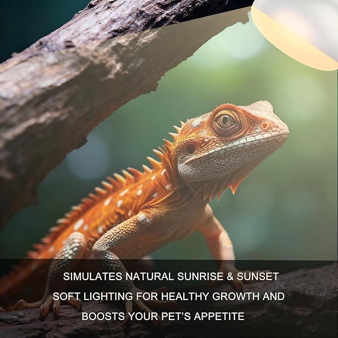 100W Reptile Heat Lamp Bulbs, 2-Pack Basking Spot Light for Bearded Dragon, Lizard, Turtle, Snake – Simulates Natural Sunlight for Amphibian Terrariums & Reptile Habitats