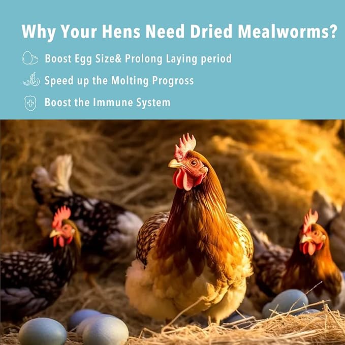 10lb Dried Mealworms for Wild Birds Chickens Feed for Laying Hens,Ducks,Reptiles