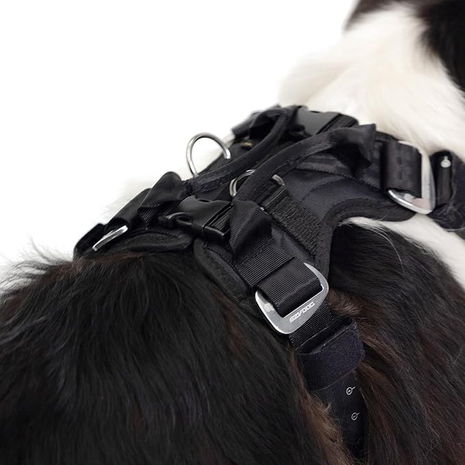 EzyDog Drive Dog Car Harness – Crash Tested and Certified (US-FMVSS 213) Dog Seat Belt Harness for Safe Travel, Adjustable with Padded Comfort (Small)