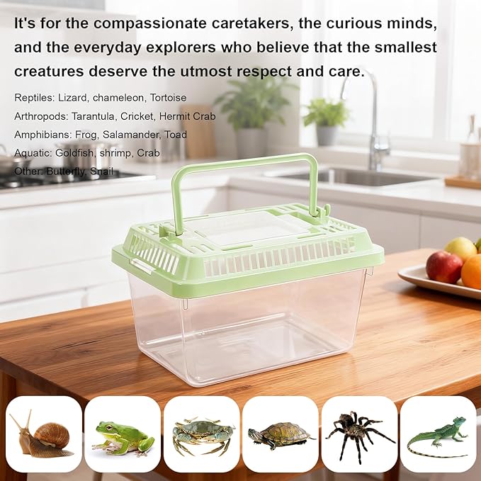 10 Pack Small Plastic Reptile Carrier, Tarantula Enclosure Breeding Box with Handle and Ventilation Lid, for Spider Lizard Turtle Hermit Crab Fish, 7 x 4.3 x 4.3 Inch, Multi-Color