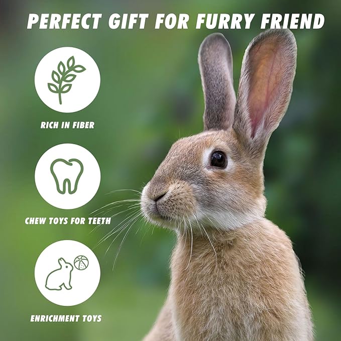 12 Pack Timothy Hay Treats, Timothy Hay Cubes and Chips, Natural Chew Toys for Teeth, Chewing Stuff for Bunny, Hamster, Guinea Pig, Chinchilla, Rabbit, and Other Small Animals