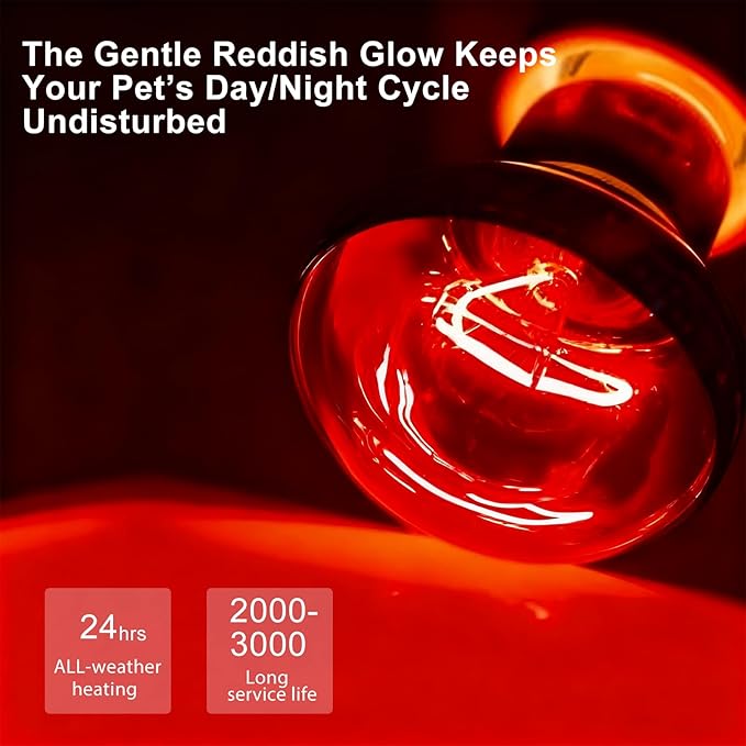 100W Infrared Heat Lamp Bulb, 2-Pack Red Heat Emitter for Reptile & Amphibian Basking – Perfect for Bearded Dragon, Lizard, Turtle, Snake