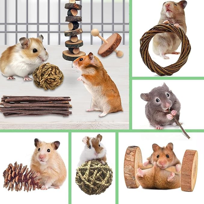10 Different Hamster Chew Toys Wood, Rabbit Guinea Pig Chew Toys for Teeth Grinding, Chinchillas, Rabbit, Gerbils, Guinea Pig, Hamster Cage Accessories (Brown)