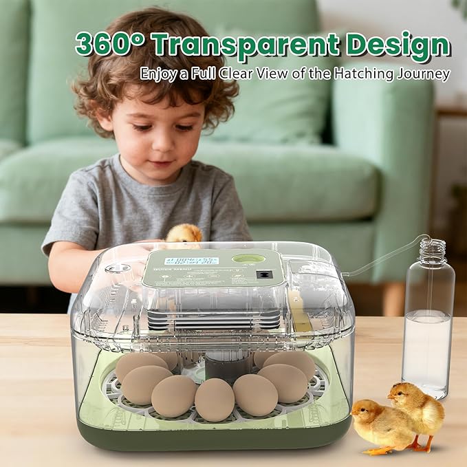 12 Egg Incubator with Humidity Display & Built-in Candler, Automatic Turner, Temp & Humidity Control, Auto Water Refill – Digital Hatcher for Chicken, Duck, Quail, Parrot (Green, 12 Egg)