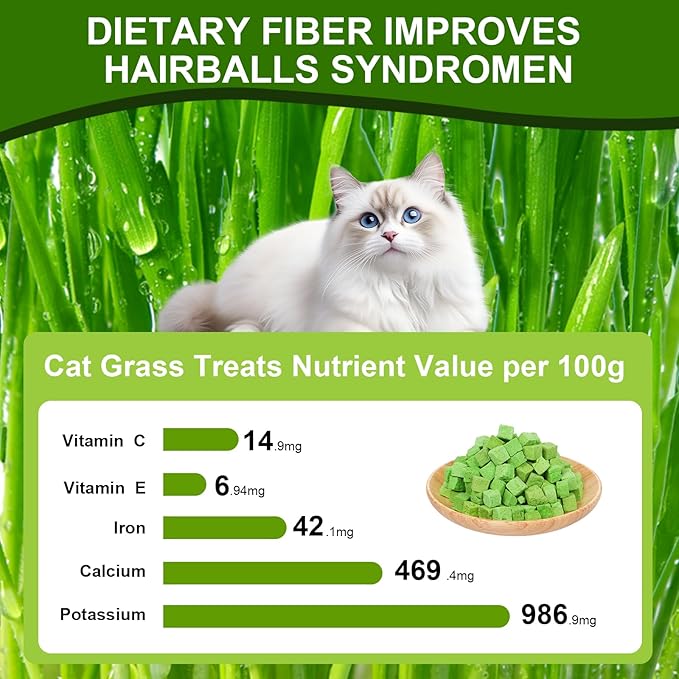 100g Freeze-Dried Cat Grass Treats, Natural Hairball Treatment for Cats, Edible Cats Chew Toy Cat Treats Snack for Teething Cleaning Hairball Removal