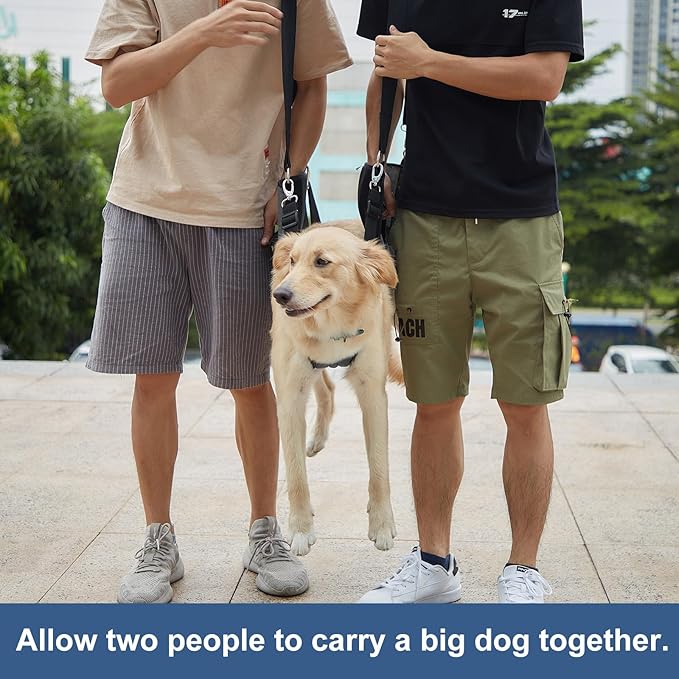 COODEO Dog Carry Sling, Emergency Backpack Pet Legs Support & Rehabilitation Dog Lift Harness for Nail Trimming, Dog Carrier for Senior Dogs Joint Injuries, Arthritis, Up and Down Stairs(L, Black)