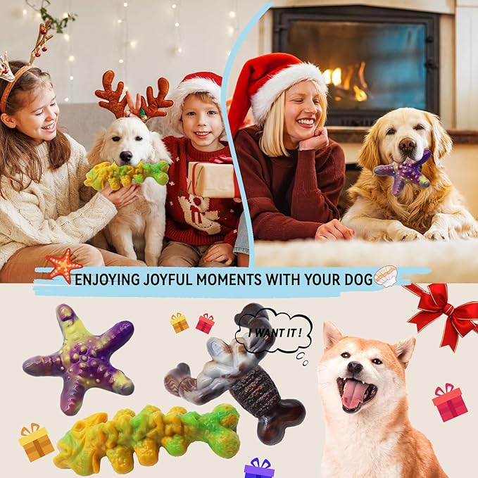 Magicorange Dog Chew Toys for Aggressive Chewers,3 Pack Tough Dog Bone Toys to Keep Them Busy, Indestructible Pet Toy for Medium/Large Breed