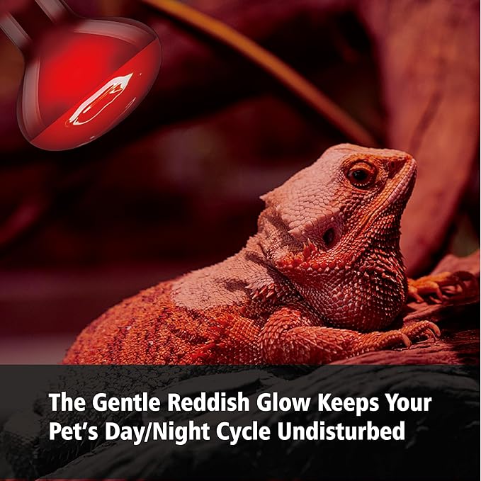 100W Infrared Heat Lamp Bulb, 2-Pack Red Heat Emitter for Reptile & Amphibian Basking – Perfect for Bearded Dragon, Lizard, Turtle, Snake