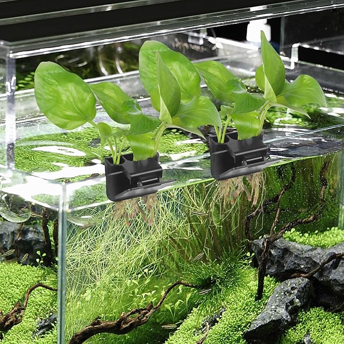 1 Pack Hanging Aquarium Plant Holder – 3 Holes Aquatic Plant Cups, Fish Tank Holder for Aquatic Plants, Ideal for Aquarium Tank Decoration(Black)