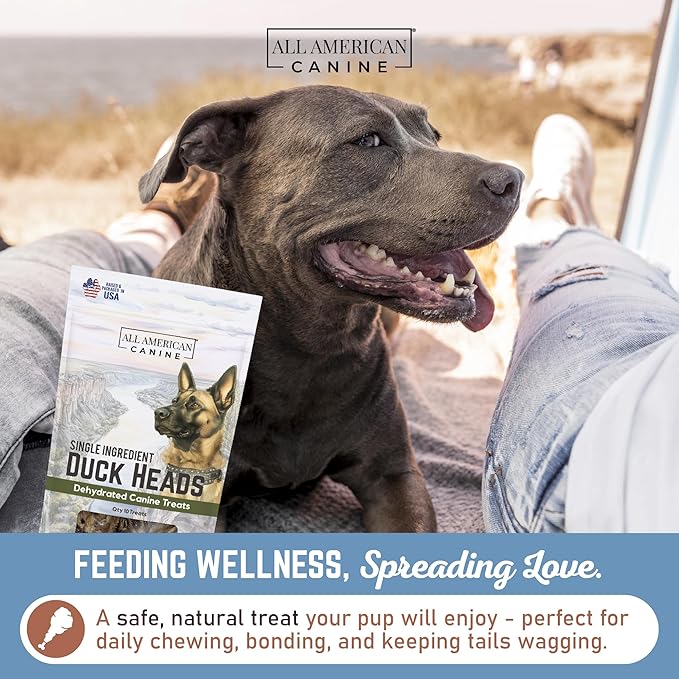 10 Natural Duck Head Dog Treats – Single Ingredient, Dehydrated & Digestible – Low-Fat, High-Protein Chew for Training & Dental Health – Made in USA