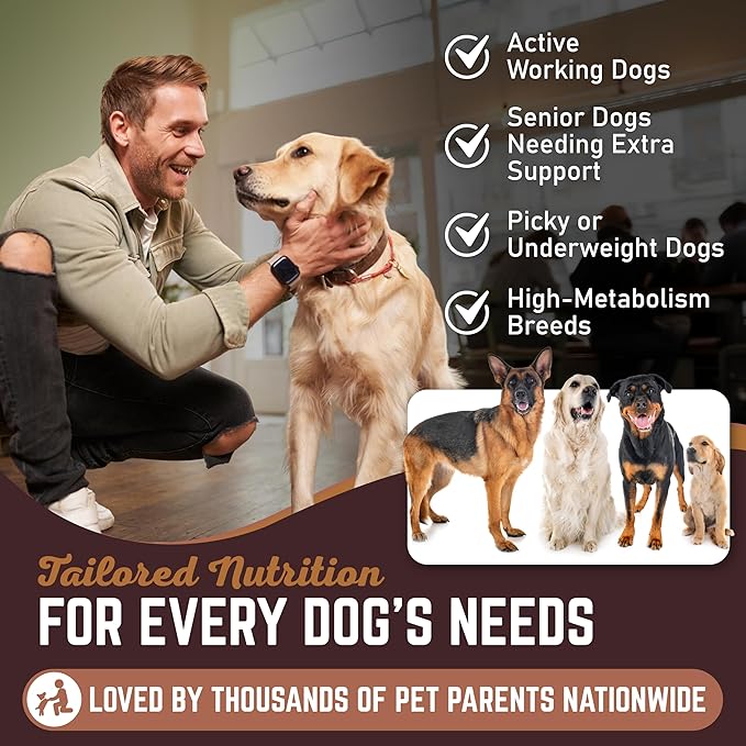 12 Natural Duck Neck Dog Treats – Single Ingredient, Dehydrated & Chewy – Low-Fat, High-Protein Training Reward – Made in USA