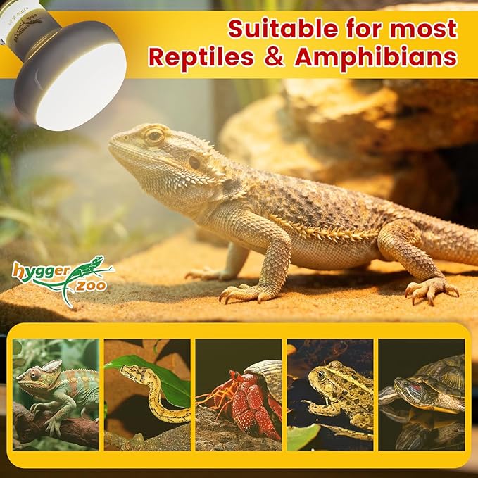 100W Reptile Heat Lamp Bulbs 2-Pack — UVA Daylight & Infrared Night Combo, Efficient Basking Light for Bearded Dragon, Lizard, Turtle, Chicken, E26 Base