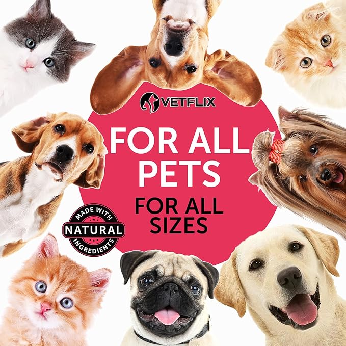 10-in-1 Pet Vitamins for Dogs & Cats - Made in USA - Glucosamine & Multivitamin Supplement - Joint, Immune & Skin Health Support - All Ages & Breeds - 2 Fl Oz