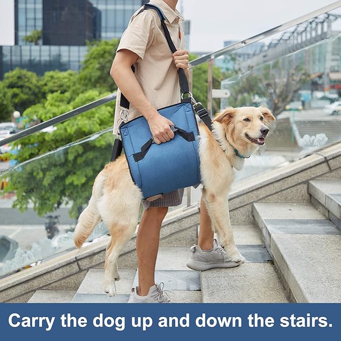 COODEO Dog Carry Sling, Emergency Backpack Pet Legs Support & Rehabilitation Dog Lift Harness for Nail Trimming, Dog Carrier for Senior Dogs Joint Injuries, Arthritis, Up and Down Stairs (L, Blue)