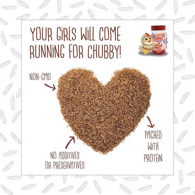 11lb Chubby Mealworms Bulk Dried Mealworms High Protein Treat for Chickens, Ducks, Birds and Much More
