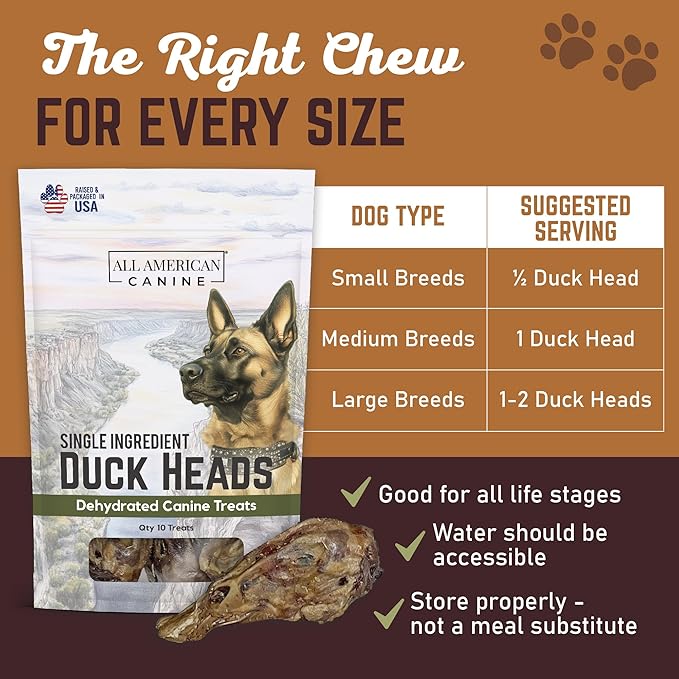 10 Natural Duck Head Dog Treats – Single Ingredient, Dehydrated & Digestible – Low-Fat, High-Protein Chew for Training & Dental Health – Made in USA
