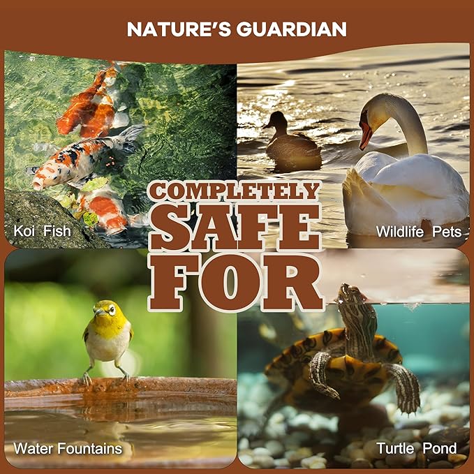 Dr. Raifya’s Muck Reducer–Natural Pond Sludge & Water Fountain Clarifier, Beneficial Bacteria Safe for Fish & Wildlife, Remove Muck in Koi Ponds, Bird Baths, Fountains & Turtle Ponds, Easy to Use–1 LB