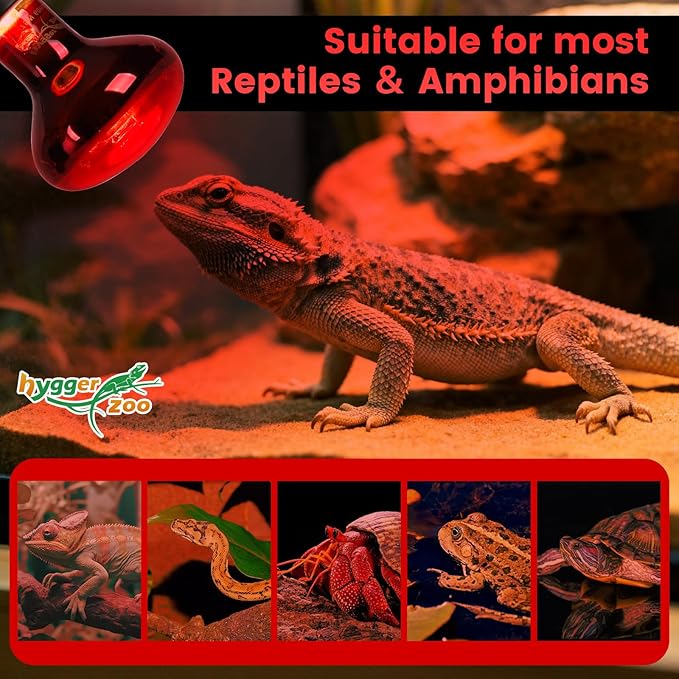 100W Infrared Heat Lamp Bulbs – 2-Pack Red IR Basking Light for Reptile & Amphibian, Silent Night-Time Heating, E26 Base, Bearded Dragon,Lizard,Turtle,Chicken
