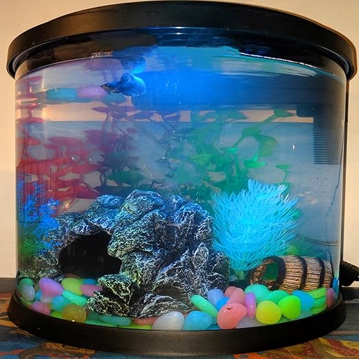 0.8-1.2" Big Rainbow Multicolor Glow in The Dark Rocks, Big Colored Pebbles, Aquarium Gravel, Fish Tank Gravel, Live Plants for Fish Tank, Glow Rocks for Landscaping 150 Pcs (1, Pounds)