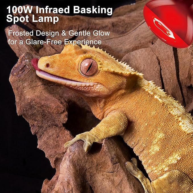 100W Infrared Heat Lamp Bulb, 2-Pack Red Heat Emitter for Reptile & Amphibian Basking – Perfect for Bearded Dragon, Lizard, Turtle, Snake