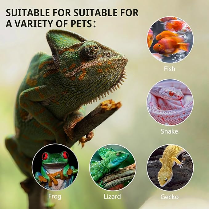 11 Gallon Tall Reptile Glass Tank 12"x12"x18" with Drainage Hole - Pre-Assembled Vertical Reptile Cage Enclosure for Arboreal Geckos,Chameleon,Lizard,Tree Frog and Snake