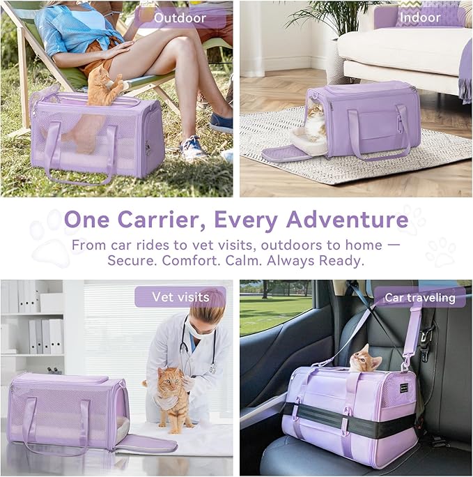 PETSFIT Cat Car Carrier for Medium Cats Dogs, 19"x12"x12" TSA Approved Pet Carrier, with Patent Safety Buckles and Escape-Proof Zipper - Safeguarding Car Travel, Vet Visit, Outdoor