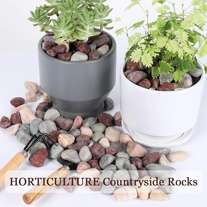 11lbs Natural River Rocks, Polished Pebbles for Plants Garden, 1-2 inch Decorative Countryside Stones, Ideal for Fish Tank, Vases, Crafting, Garden Landscaping Rocks,Countryside