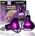 100W Reptile Night Light Bulb - UVA Heat Lamp - Simulates Natural Moonlight, Purple Basking Lamp for Bearded Dragons, Lizards, Chameleons and Amphibians - Ideal for Reptile Aquariums & Tanks