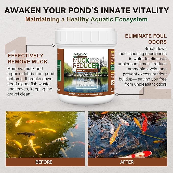 Dr. Raifya’s Muck Reducer–Natural Pond Sludge & Water Fountain Clarifier, Beneficial Bacteria Safe for Fish & Wildlife, Remove Muck in Koi Ponds, Bird Baths, Fountains & Turtle Ponds, Easy to Use–1 LB