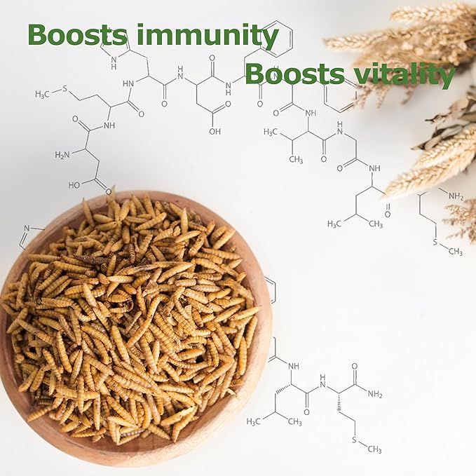 10LB Dried Black Soldier Fly Larvae, Non-GMO & Nutrient-Packed Chicken Feed, Strong Egg Production and Health, Rich in Calcium for Healthy Hens and Ducks, Better Than Dried Mealworms