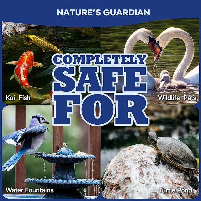 Dr. Raifya's Pond Fresher - 5 OZ - Natural Water Clear & Odor Control in Koi Pond, Bird Baths & Fountains, Beneficial Bacteria & Enzymes Safe for Fish, Pets, Wildlife & Plants, Easy to Use