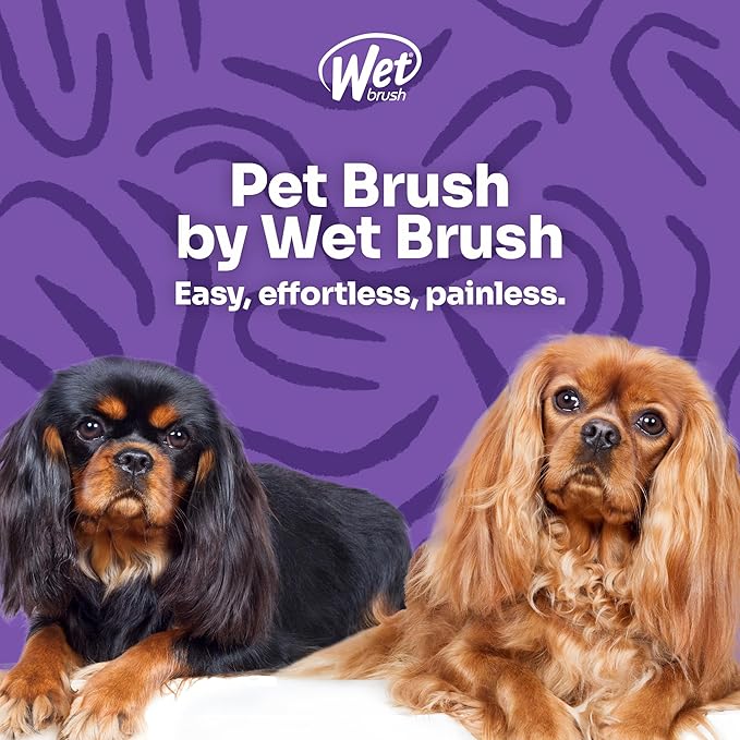 Wet Brush Ultimate Dual-Sided Detangling Brush - Ultra Soft IntelliFlex Bristles, Removes Loose Hair & Dirt for Dogs, Cats, Rabbits - Teal