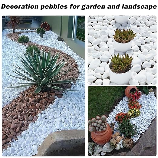 11 Lbs Natural River Rocks for Plants 0.6-0.8 inches Small White Landscaping Garden Stones White Aquarium Gravel Decorative Pebbles for Indoor Outdoor Planters Home Decor