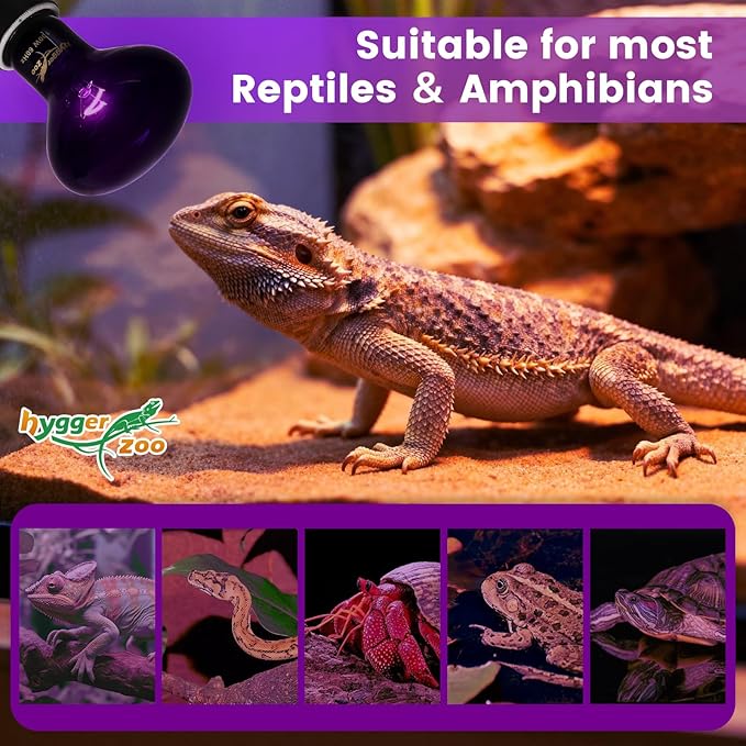 100W Reptile Night Light Bulb – 2-Pack Moonlight Purple Glow, Gentle Heat & UVA for Nocturnal Basking, E26 Base, Perfect for Bearded Dragon, Lizard, Turtle, Chicken