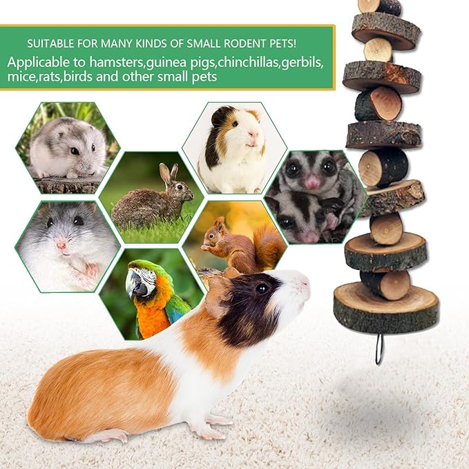 10 Different Hamster Chew Toys Wood, Rabbit Guinea Pig Chew Toys for Teeth Grinding, Chinchillas, Rabbit, Gerbils, Guinea Pig, Hamster Cage Accessories (Brown)